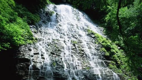 数字化高端